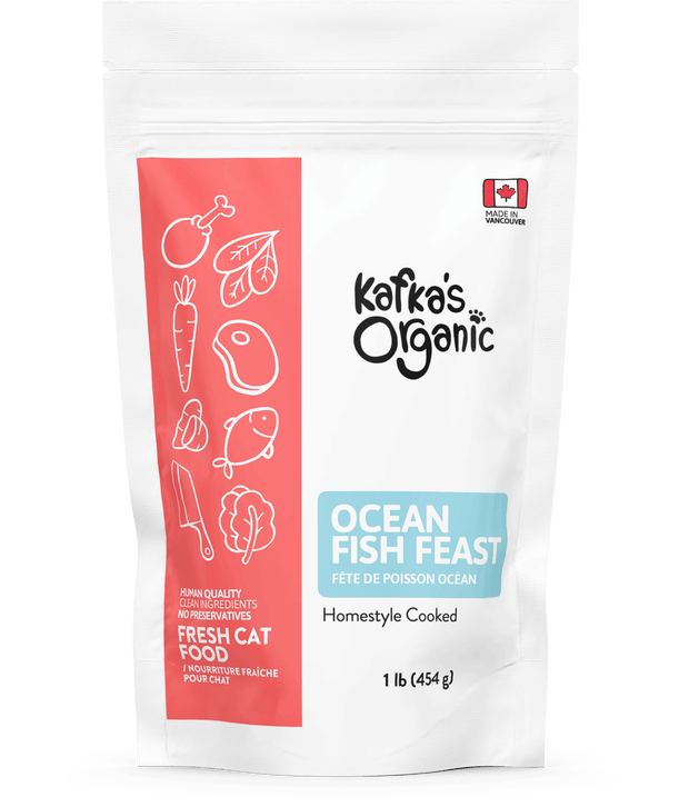 Ocean Fish Feast - Fresh Cat Food